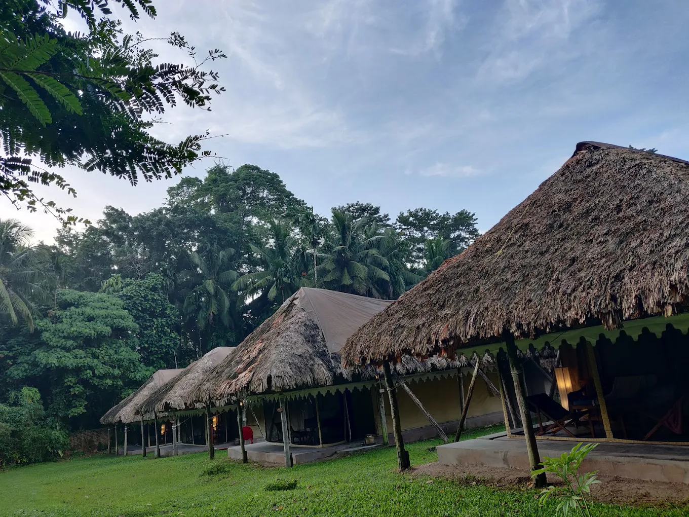 Barefoot Jungle resort tented .webp